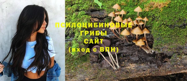 мет Нефтегорск