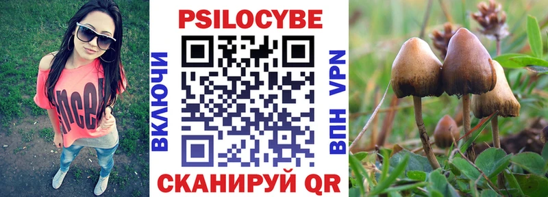Псилоцибиновые грибы MAGIC MUSHROOMS Киселёвск