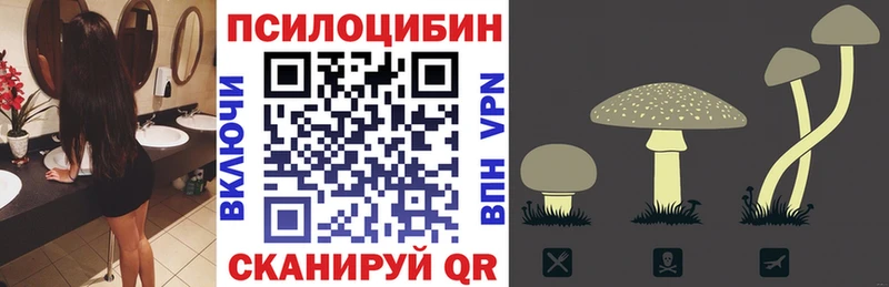 Псилоцибиновые грибы Psilocybe  ОМГ ОМГ ссылки  Киселёвск 