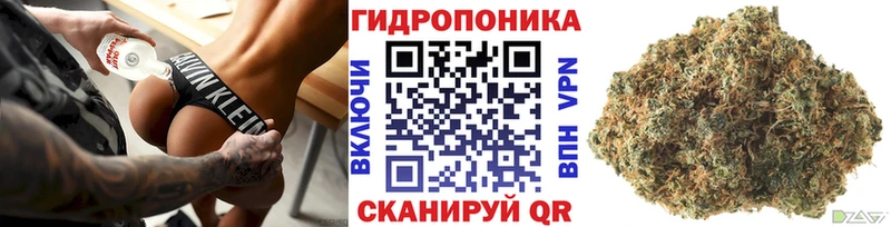 Бошки Шишки VHQ  Киселёвск 